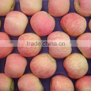 Chinese Fresh Fuji Apple NEW HOT!! thumbnail-1