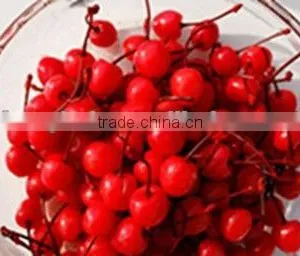 Canned Red and Green Cherry for Decoration thumbnail-3