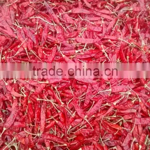 CHILLI PEPPER thumbnail-3
