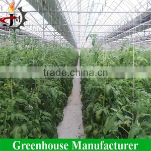 High Quality 200 Miron Film Tunnel Arch Green Houses for Vegetable Used thumbnail-4