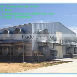 High Quality Prefabricated Chicken Shed and Chicken Farm thumbnail-1