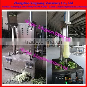 Wax Melon Skin Removing Machine 0086-15938761901 thumbnail-6