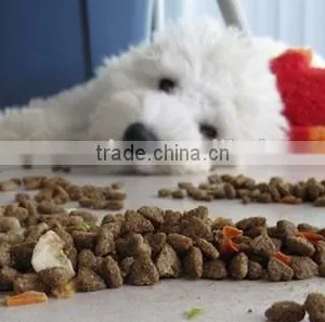 Dog Dryer Machine thumbnail-4