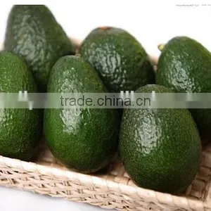 Palm Oil Press/expeller/extruder/extractor/processing Machine thumbnail-6