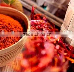 Red Chilli Powder thumbnail-4