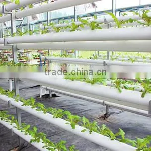 Commercial Polycarbonate Greenhouses Structure With Hydroponic System thumbnail-2