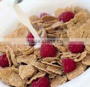High Quality Breakfast Cereals Processing Line thumbnail-1