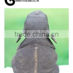 Wood Carved Elephant From Thailand thumbnail-3
