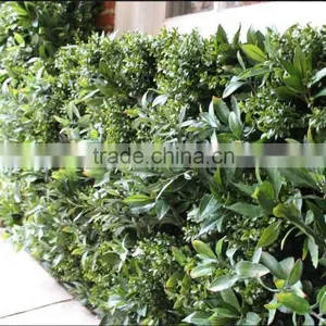 Exterior Grade Green Walls Fake Green Wall Backdrop thumbnail-2