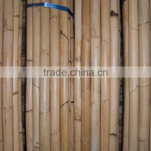 Raw Rattan Manau Cane 1st Grade thumbnail-1