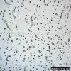 Sell Mineral Fiber Ceiling Board thumbnail-1