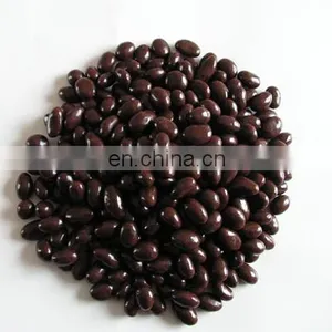 Sugar Coating Machine Chocolate Coating Machine Medical Coating Machine thumbnail-6