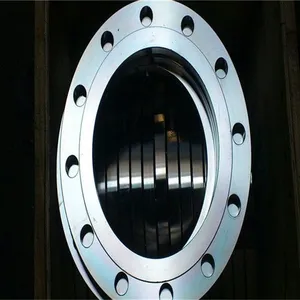 Carbon Steel Fittings Titanium Blind Flange Ansi B 16.5 Gr2 thumbnail-3