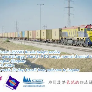 Shanghai to Pozim 255503 Izhevsk Container Freight of Dangerous Cargo Sea Rail Freight thumbnail-1