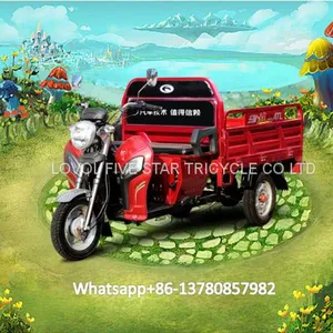 Gasoline Tricycle Cargo Loader Lovol Three Wheeler Mali Ethiopia Ghana Bukina Faso Tanzania Kenya Senegal Togo Benin Nigeira Mauritania Angola Burundi Chad Cameroon C ô te D'Ivoire Gabon Guinea Mozambique Rwanda Congo Uganda Zimbabwe thumbnail-1