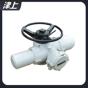Electric Valve Electric Actuator IQ35 Rotary Electric Actuator thumbnail-5