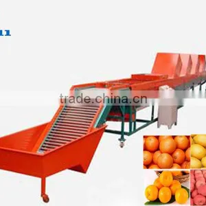 Round Fruit Cleaning Waxing Drying and Grading Machine for Sale thumbnail-1