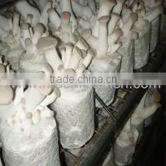 Guangzhou Lianguan Trade Limited Company company overview - view 2 thumbnail