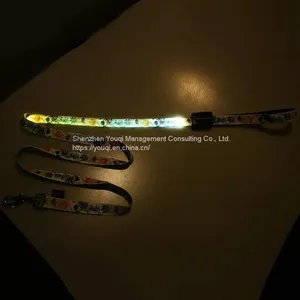 Hot Sale Light Up Dog Leash/ Nylon Rechargeable Led Dog Leash thumbnail-4