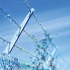 Wholesales Fencing Hot Dipped Galvanized Barbed Wire thumbnail-6