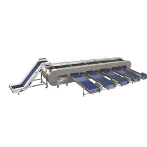 Potato Sorting Machine Fruit and Vegetable Grading Machine3 thumbnail-5