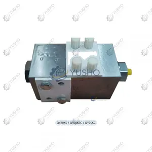 Spare Part 803075273 for XCMG Crane Genuine OEM thumbnail-1