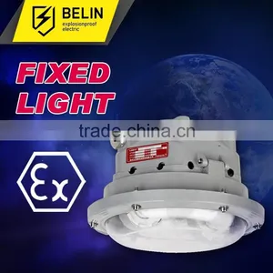 NFC9176 Longevity Ceiling Light thumbnail-1