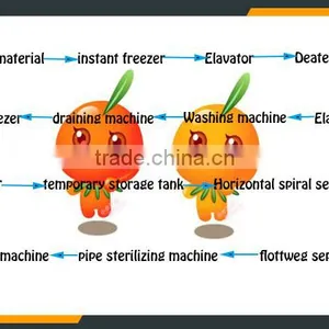Leader Hot Sales Seabuckthorn Wine Process Line With Website:leaderservice005 thumbnail-6