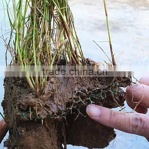 3D Erosion Control Mat thumbnail-4