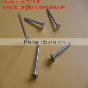 High Quality Low Price Factory Produce Common Iron Nail Smooth Shank/ Supplier Common Iron Nail thumbnail-5