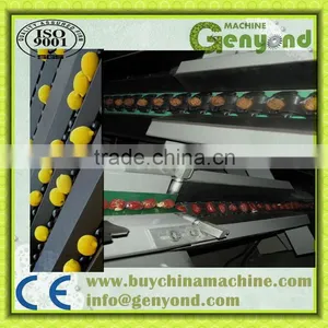 Stainless Steel Small Fruit Weight Sizing Machine thumbnail-1