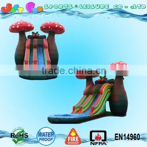 Cheap Mushroom Inflatable Water Slide With Big Pool for Kid for Sale Supplier's Choice thumbnail-2