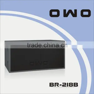 BR Series PA Loudspeaker BR-218B thumbnail-1
