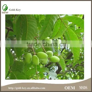 China Supply Olive Leaf Extract, Olive Leaf Powder thumbnail-2