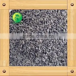 Sunflower Seeds for Birds Small Seed High Oil Content thumbnail-4