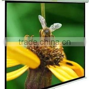 R SERIES RM - Manual Projection Screen thumbnail-1