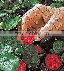 100% PP Plastic Anti-bird Net for Fruit Manufacture thumbnail-2