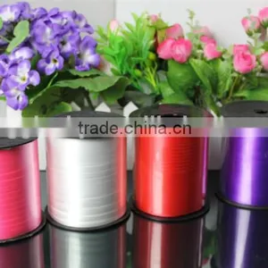 PP Roll Ribon/ Plastic Ribbon Roll/printed Ribbon Roll thumbnail-1