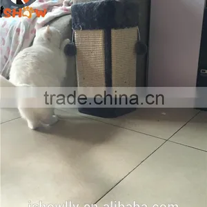 2016 New Cat Scratch Board Wall Sisal Scratch Board Stuff Ball Cat Toy thumbnail-5