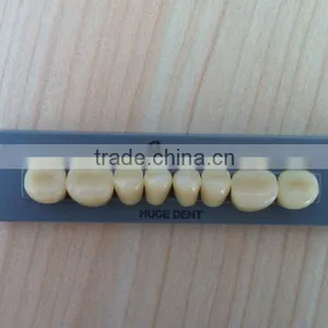 Low Alevolar Crest Teeth Seniors thumbnail-1