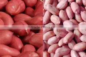 Environmental New Design Peanut Roasting Blanching Processing Plant thumbnail-4