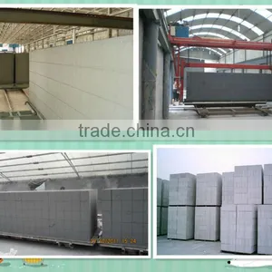 TOP Quality Shandong Linyi Low Cost Aac Block Making Plant for Sales - TIANYUAN BRAND thumbnail-3