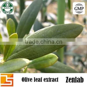 Olea Europaea Extract Powder thumbnail-1