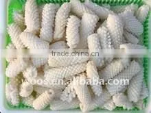 Fish Illex Squid Ring/tube/flower for Sale thumbnail-1