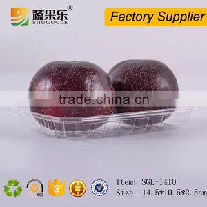 Tray Type and Blister Process Type Disposable Fruit Tray thumbnail-2