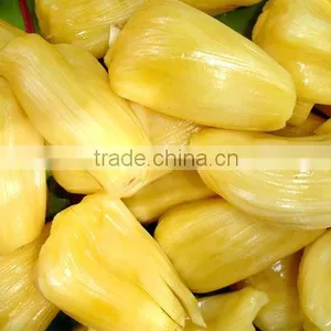 Green Jackfruits From India thumbnail-1