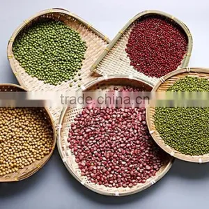 Adzuki Bean thumbnail-5