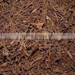 Clove Stem thumbnail-1