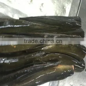 Frozen Fish Seafood Good Quality Cat Fish thumbnail-1
