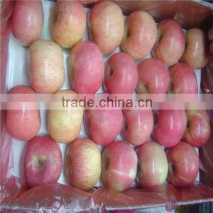 Apple Supplier From China /2016new Crop Fresh Apple thumbnail-1